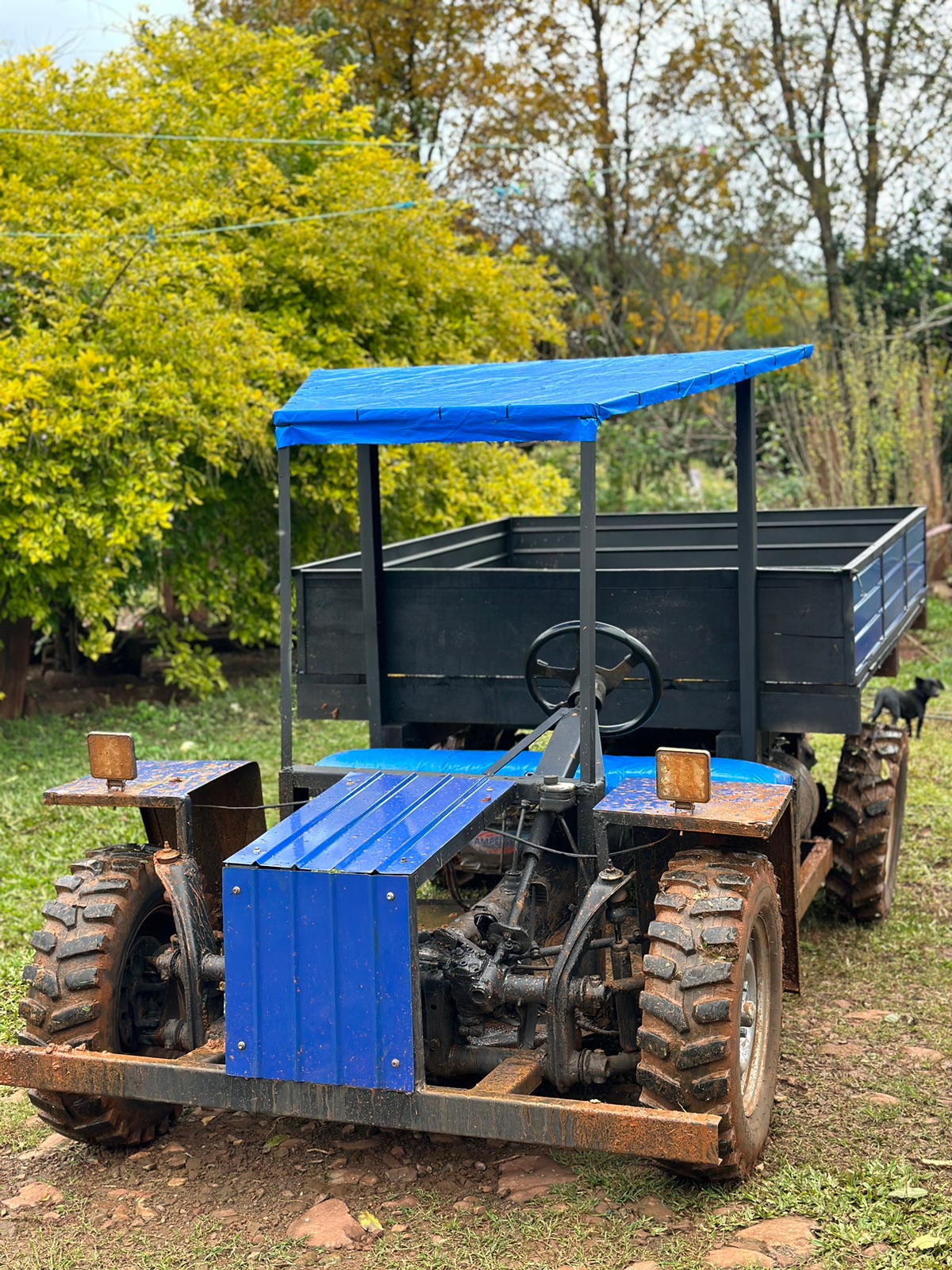 Carreta agrícola 4x2